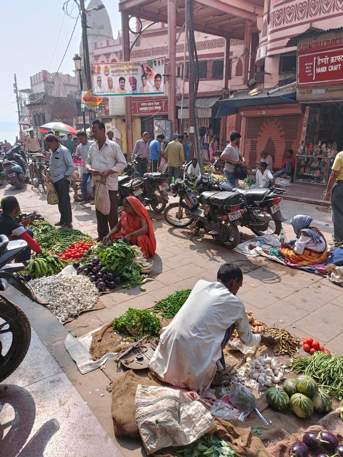 The photo truly conveys the meaning of a Mandi. It shows the environment of a Mandi, vendors sitting on the ground, and the customers buying and bargaining. It shows the dynamic nature of the market that we want to recreate and sustain with the proposal of a more accessible design. 